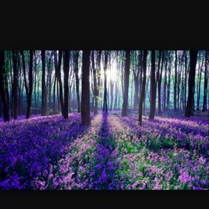 Meet your Posher, Monique