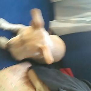 Meet your Posher, Heidi