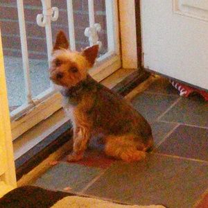 Meet your Posher, Latisha