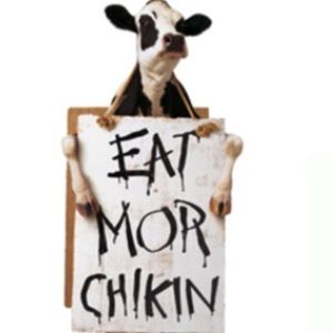 Meet your Posher, Daphne