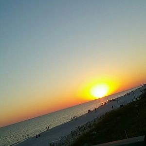 Meet your Posher, Asha