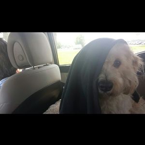 Meet your Posher, Jo