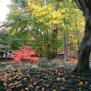 Meet your Posher, Gina