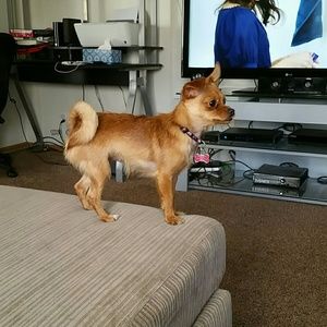 Meet your Posher, Stephanie