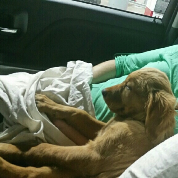 Meet your Posher, Danielle - Picture 2 of 4