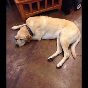 Meet your Posher, Kelsey