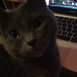 Meet your Posher, Amber