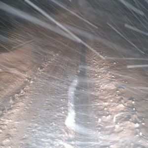 Meet your Posher, Landon