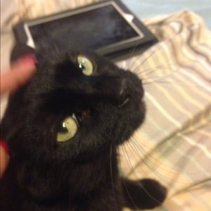 Meet your Posher, Dena