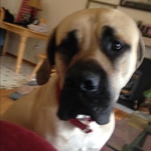 Meet your Posher, Jenny