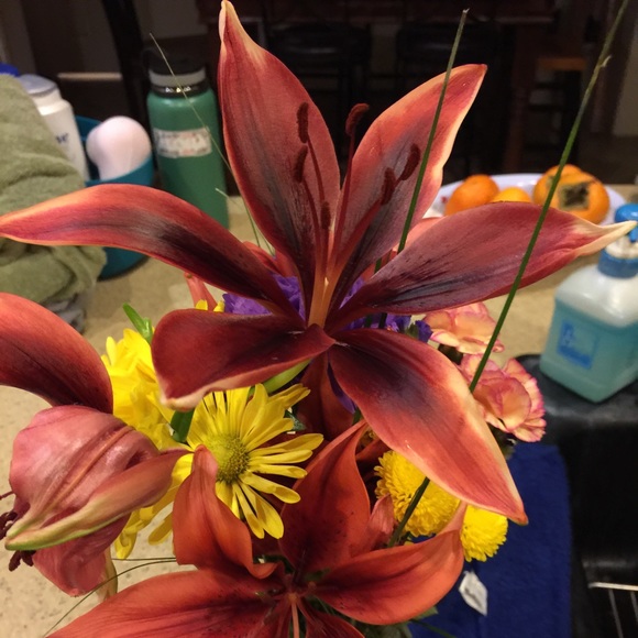 Meet your Posher, Reba - Picture 1 of 1