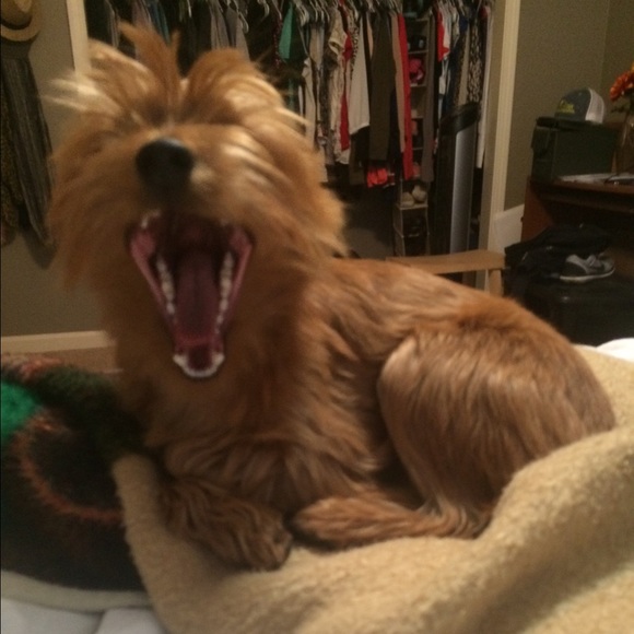 Meet your Posher, Stacey