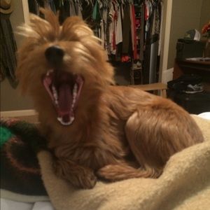 Meet your Posher, Stacey