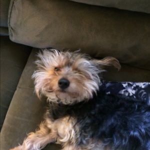 Meet your Posher, Karina