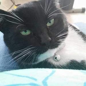 Meet your Posher, Grace