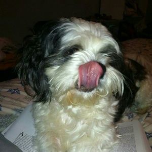 Meet your Posher, Kathleen