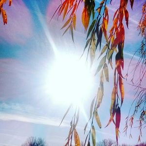 Meet your Posher, Delaney