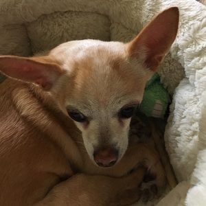 Meet your Posher, Mary lou