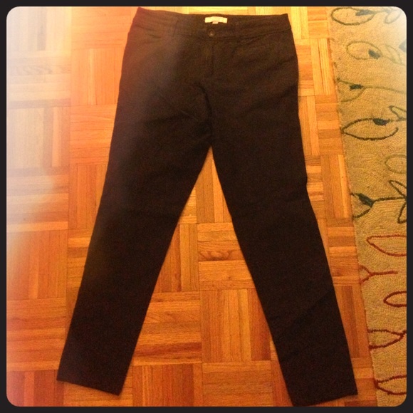 Chestnut Brown Riding Pants