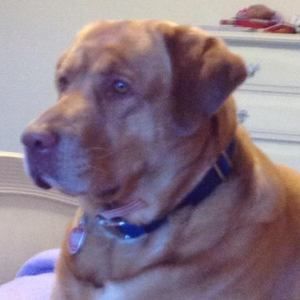 Meet your Posher, Pamela