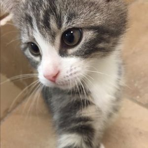 Meet your Posher, Natalie