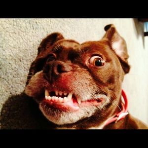 Meet your Posher, April