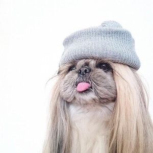 Meet your Posher, Dawn