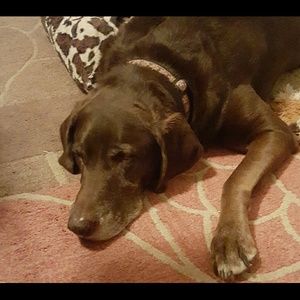 Meet your Posher, Tracy