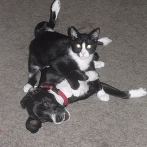 Meet your Posher, Ellie