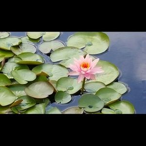 Meet your Posher, Michele