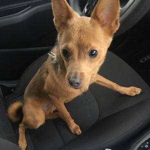 Meet your Posher, Ashley