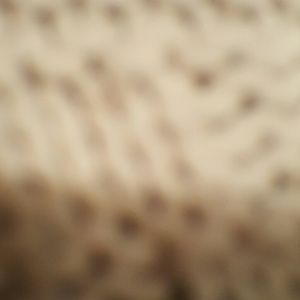 Meet your Posher, Lindsay