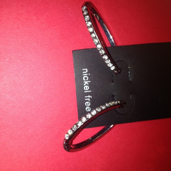 Oval silver earrings