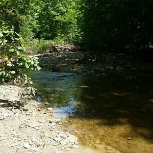 Meet your Posher, Rochelle