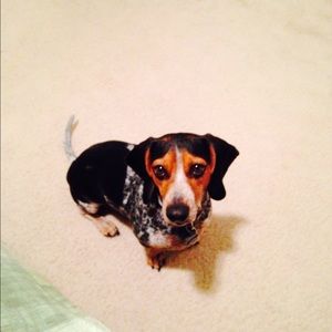 Meet your Posher, Jenn