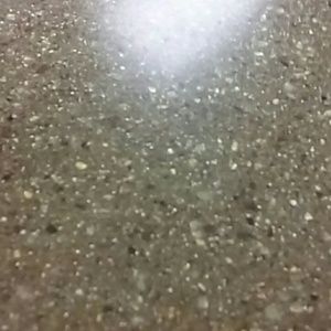 Meet your Posher, Delores