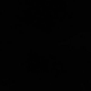 Meet your Posher, Nathan