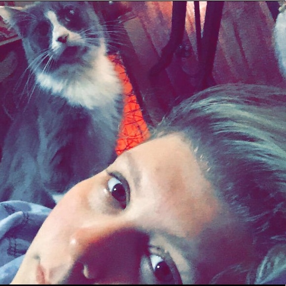 Meet your Posher, Daisy! - Picture 3 of 4