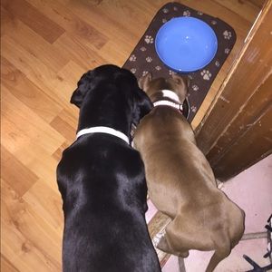 Meet your Posher, Kyle