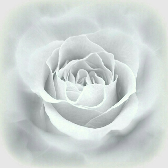 Meet your Posher, Sheri - Picture 1 of 1