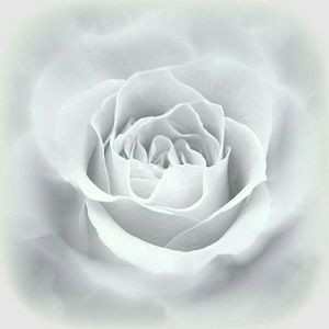 Meet your Posher, Sheri