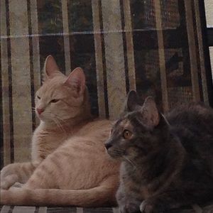 Meet your Posher, Brandyn