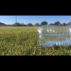 Meet your Posher, Taryn