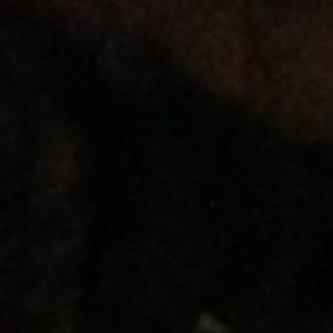 Meet your Posher, Sami