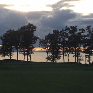 Meet your Posher, Allyn