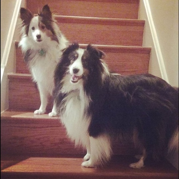 Meet your Posher, Katie - Picture 3 of 3