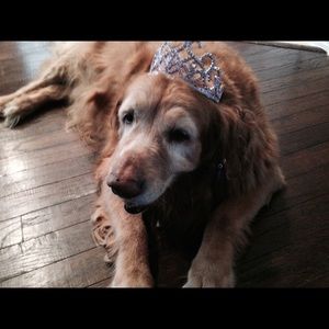 Meet your Posher, Debbie