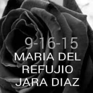 Meet your Posher, Angelica