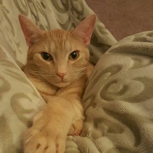 Meet your Posher, Shaunte