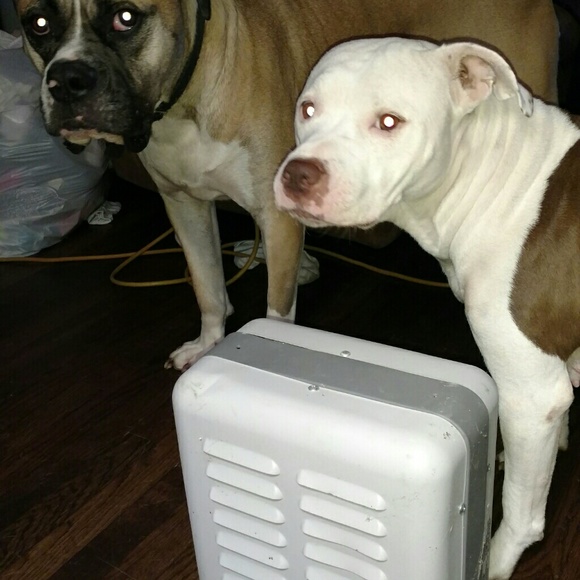 Meet your Posher, Kelsi - Picture 1 of 1